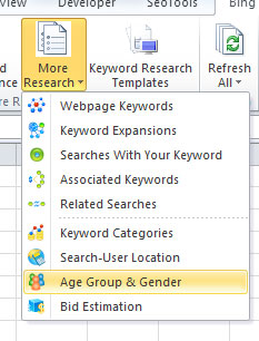 Bing Keyword Tool Excel Ribbon age and gender info