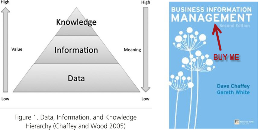 business-information-management